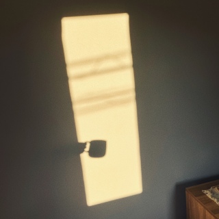 �l�ԂƂ��Ă̌���