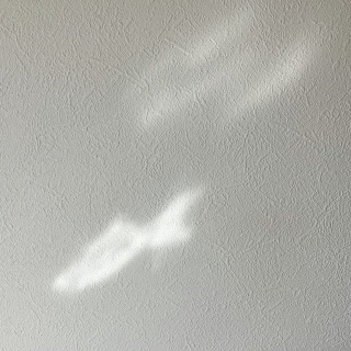 ���ׂ��҂�