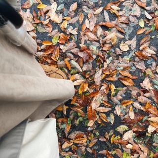 ���炢�I�������I��邶���I