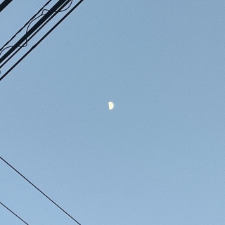 寄せては逃げていく