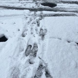 こんな時に限って