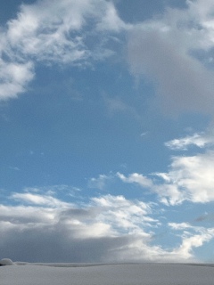 �D�������ׂĂ��ݍ���